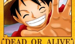 路飞爆料身世视频大全集,揭秘海贼王世界中的惊天秘密