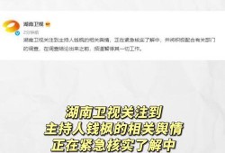 娱乐圈吃瓜文件,揭秘“吃瓜文件”背后的真相