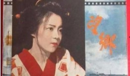 望乡日本电影在线观看,穿越时空的日本乡愁之旅