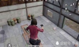 和平精英最新爆料十月份,全新内容来袭，战火再燃！