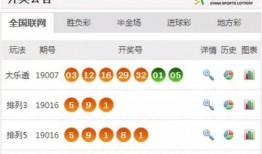 今日体彩爆料直播开奖结果,今日开奖结果大放异彩！”