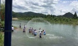 新瓜最新爆料天台,天台风云再起，揭秘背后惊人真相