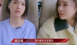 陈晓米热爆料视频,揭秘娱乐圈不为人知的幕后故事