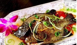 海鱼蚝油爆料方法大全视频,视频详解全方位爆料