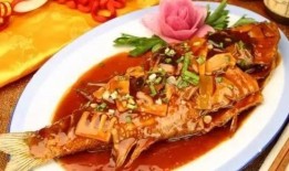 海鱼蚝油爆料方法大全视频,视频详解全方位爆料