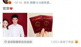 娱乐圈吃瓜的目录有哪些,揭秘明星幕后故事与八卦传闻