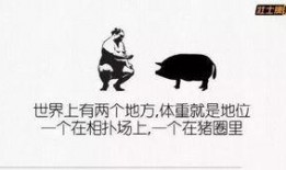 娱乐爆料搞笑文案,笑料百出！娱乐圈爆料搞笑文案大盘点