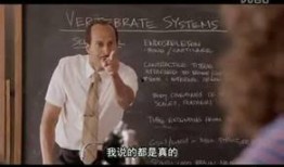 肚脐电影在线观看神马,揭秘神秘肚脐世界的奇幻之旅
