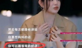 陈晓米热爆料视频,揭秘娱乐圈不为人知的幕后故事