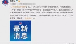 娱乐圈吃瓜文件,揭秘“吃瓜文件”背后的真相
