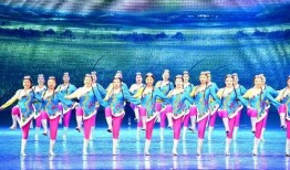 爆料雏形舞蹈视频大全,雏形舞蹈视频大全精彩集锦