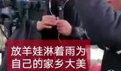 放羊娃大姐爆料视频,真实事件背后的惊人真相