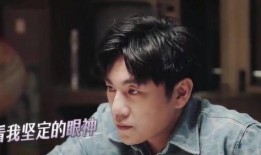 爆料秦昊伊能静视频合集,视频合集回顾