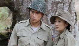 电视剧女人的抗战在线观看,烽火岁月中的坚韧与勇气