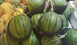 吃瓜吃到自己喜欢的网红身上