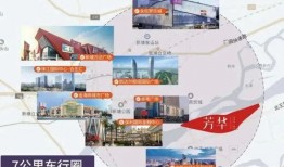 蔡老板超市大爆料视频,揭秘日常购物背后的惊人真相