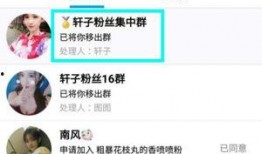 爆料b姐的视频,独家爆料背后的惊人真相