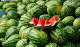 吃瓜免费观看全集