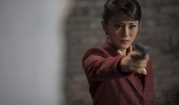 电视剧女人的抗战在线观看,烽火岁月中的坚韧与勇气