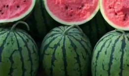 江西网红吃瓜事件,揭秘网络舆论背后的真相