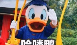 吃瓜娱乐鸭,揭秘娱乐圈幕后故事