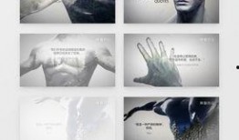 风景视频爆料大全下载,绝美风光一网打尽