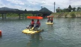 新瓜最新爆料天台,天台风云再起，揭秘背后惊人真相