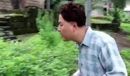 花生爆料视频最新消息,最新视频揭露惊人内幕，揭秘事件真相