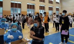 龙口碧桂园爆料最新消息,揭秘项目进展与未来规划