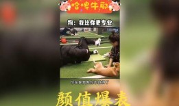 吃瓜搞怪配音视频大全免费,吃瓜搞怪视频大全免费来袭！