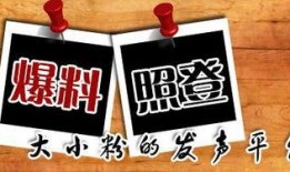 图片新闻爆料怎么做,深度解析