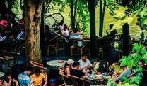 成都公园舆论爆料案件最新