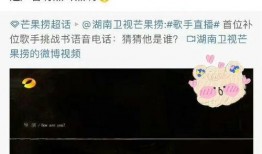 补位歌手爆料视频,独家爆料视频大揭秘