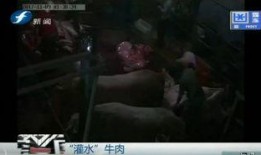 阿狼爆料全过程视频,揭秘事件真相与幕后黑幕